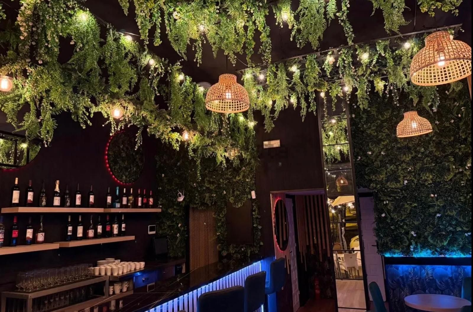 Bar-cafetería: Techo vegetal y barra